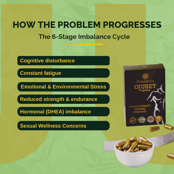 The cycle, how the Problem Progress with Ojuset Capsules The cycle, how the Problem Progress with Ojuset Capsules