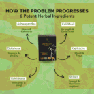 6 Potential Herbal Ingredients and Solutions on Ojuset Capsules