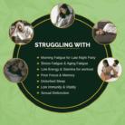 STRUGGLING WITH THE PROBLEMS
